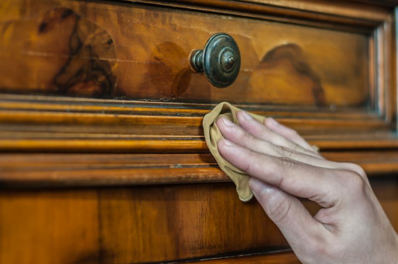 Cabinet Revarnishing Service
